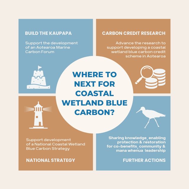 Infographic showing a grid with illustrations of four areas to accelerate blue carbon work in New Zealand.