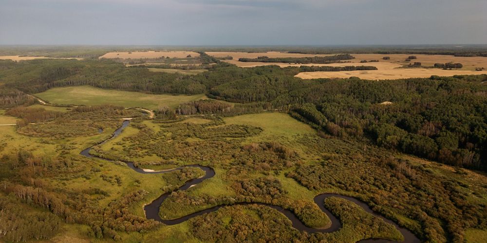 Aerial view of a river winding through a lush landscape.
