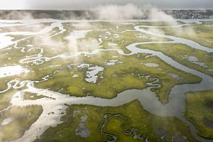 Aerial view of coastal marshes. 
