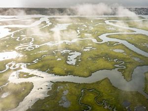 Arial image of wetlands.