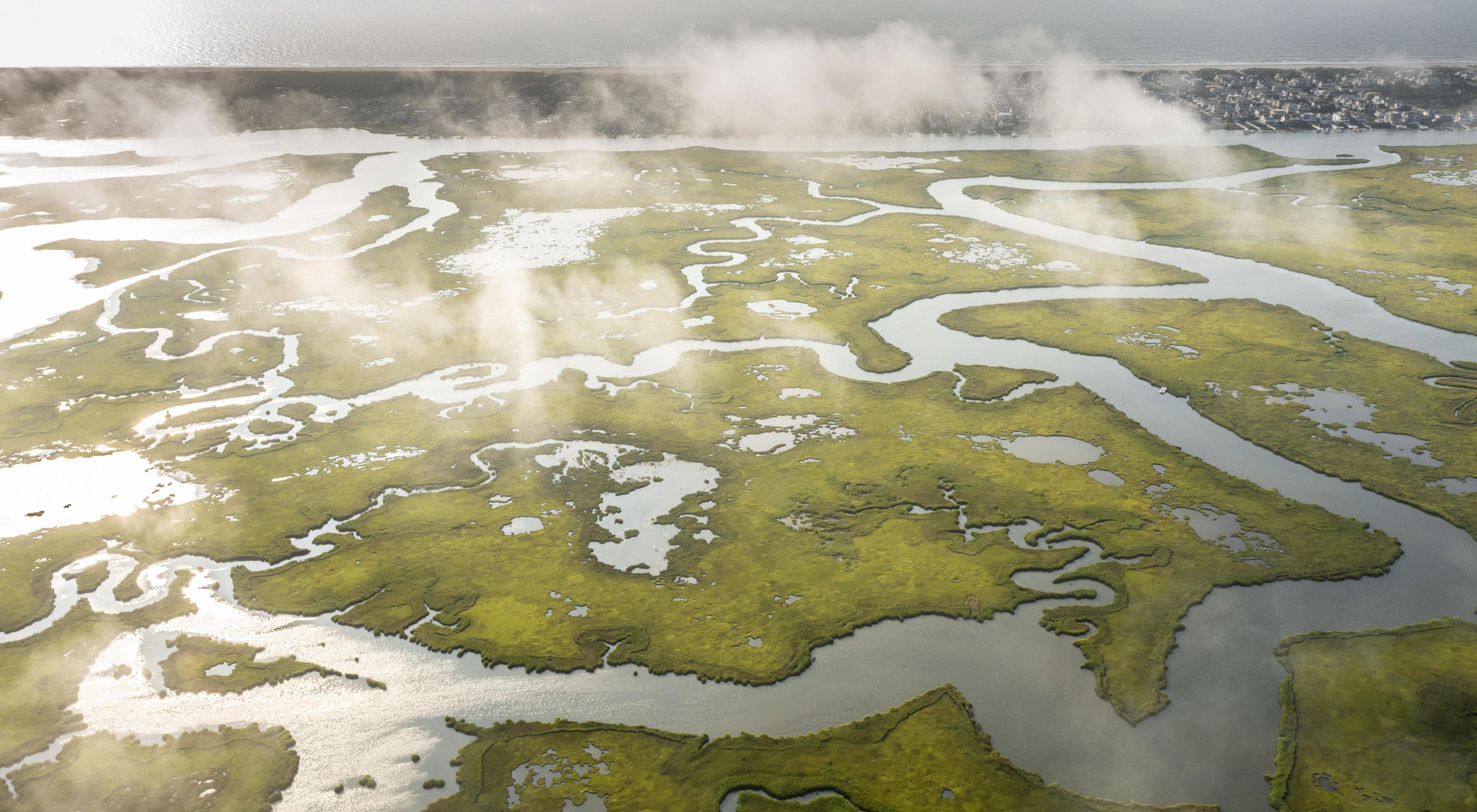 Arial image of wetlands.