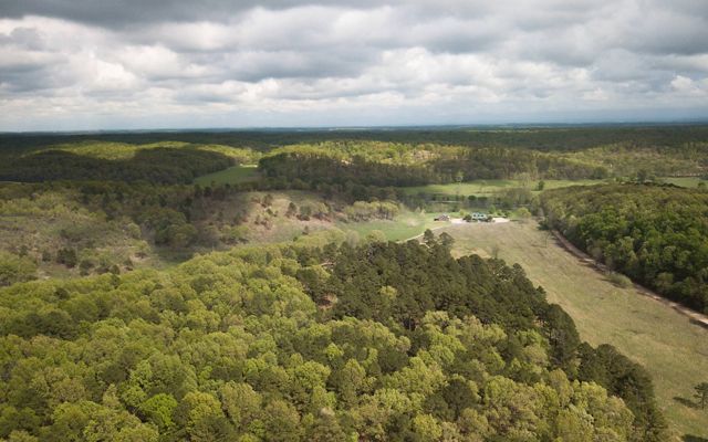 Birds-eye view of the J.T. Nickel Preserve and surround Ozark forest.