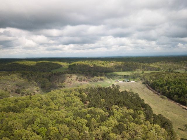 Birds-eye view of the J.T. Nickel Preserve and surround Ozark forest.