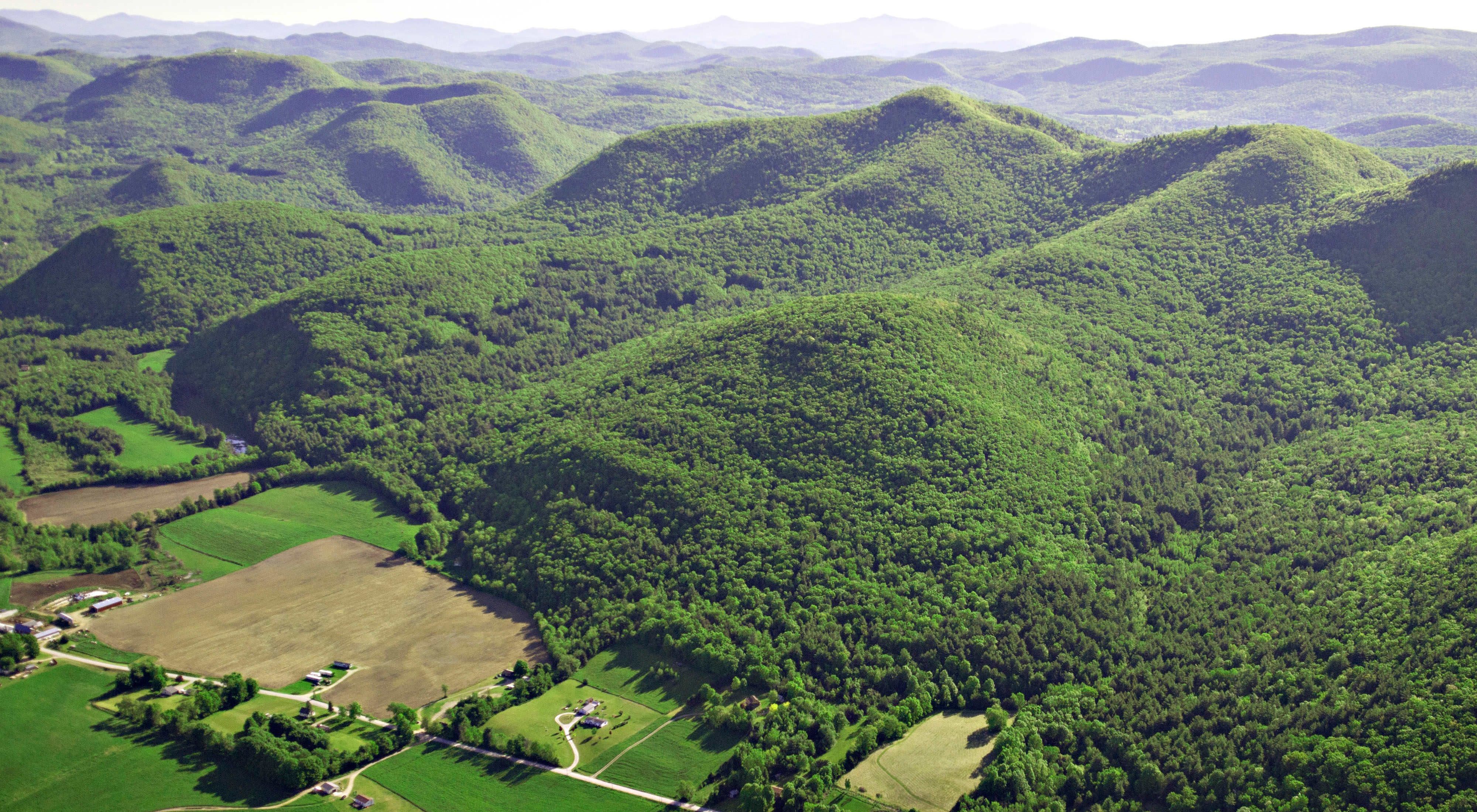 Aerial view of rolling hills covered with dense green forests, with farmland abutting the lower edge of the woods.