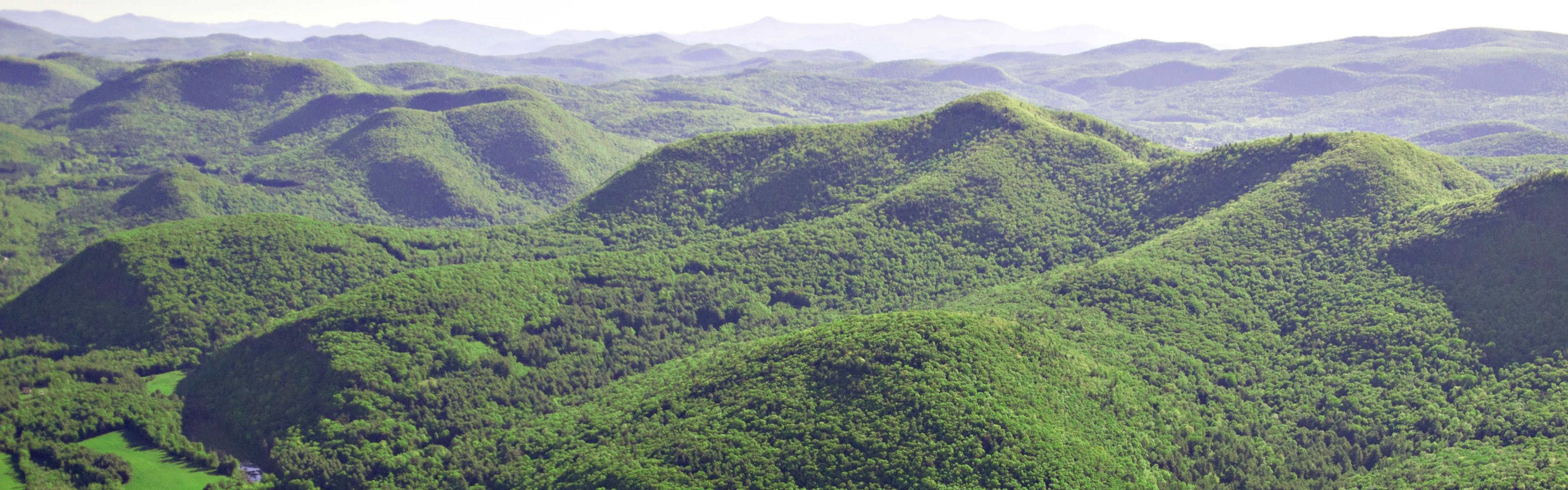 Aerial view of rolling green hills.