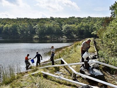 A group of people stands in a line at the edge of a body of water with pipes going from the water to the forest. They pass buckets filled with water up the line from the water toward the forest. 