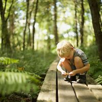 A child crouches on a boardwalk in a forest.