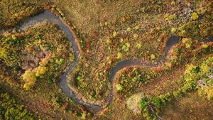 Aerial shot of the meandering streams of Big Darby Creek.