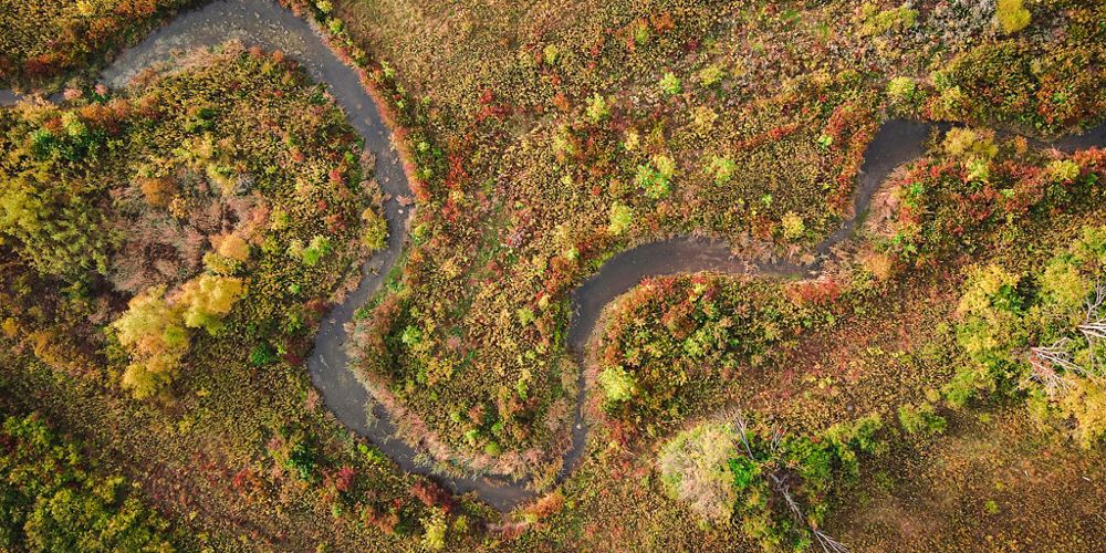 Aerial view of forest and open meadow at Big Darby Creek Headwaters Nature Preserve in the fall.