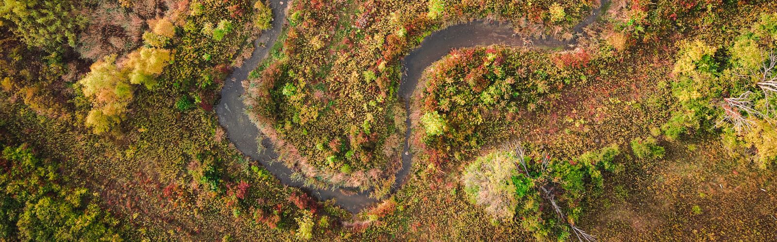 Aerial view of forest and open meadow at Big Darby Creek Headwaters Nature Preserve in the fall.