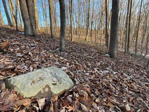A large waverly sandstone boulder sits in fallen leaves in the forest.