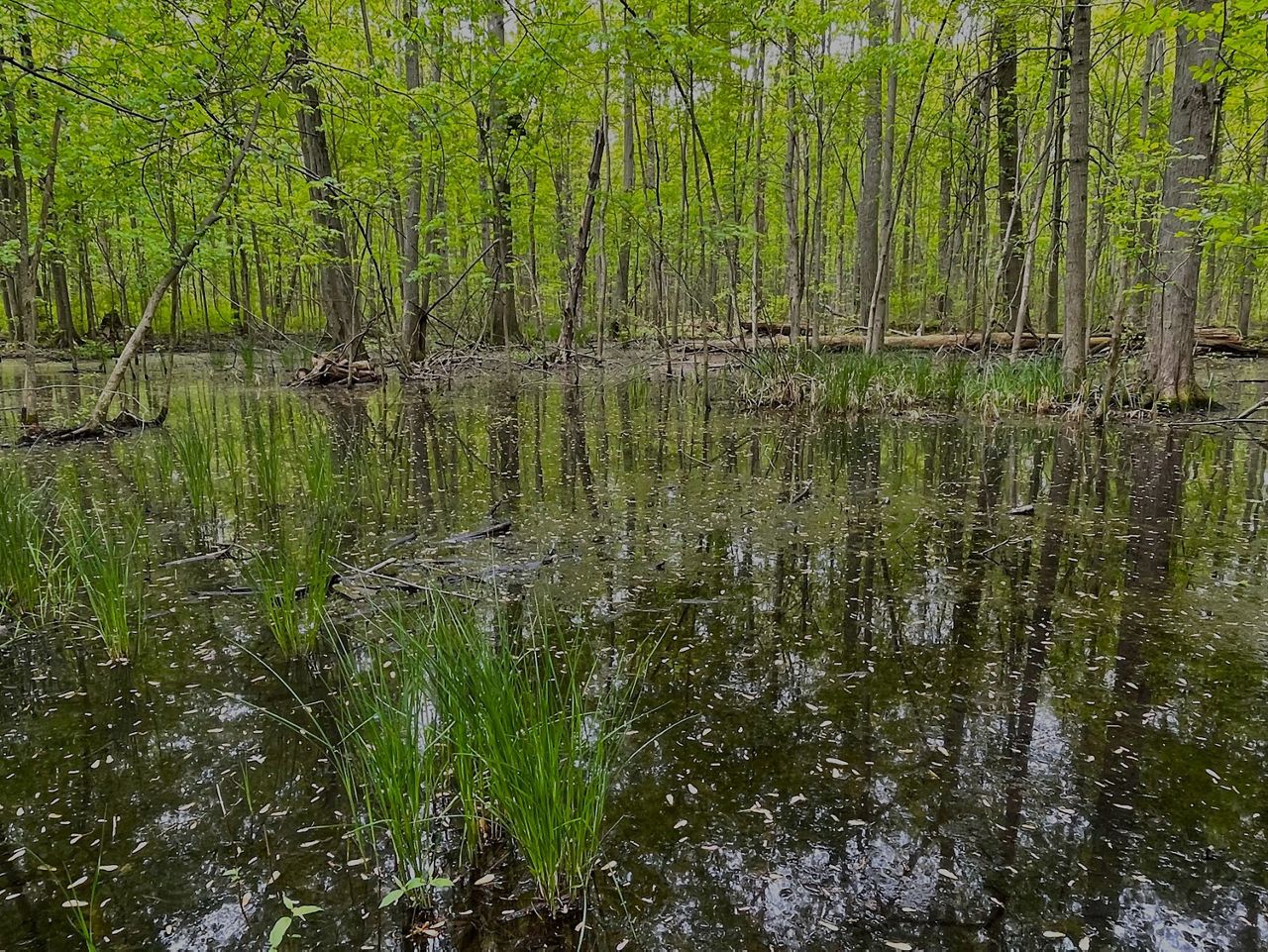 Protecting Places Crucial for Nature in Ohio