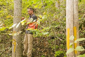 Sustainable Forestry In Ohio | The Nature Conservancy