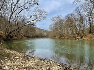 Heron nests dot the trees that line Ohio Brush Creek.