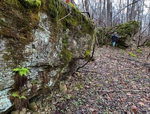 Large geologic slump blocks rise from the forest floor.