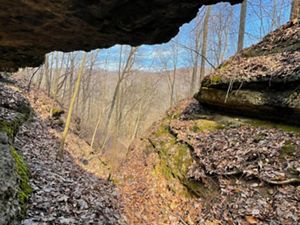 A rocky cave frames the view of a fall forest.