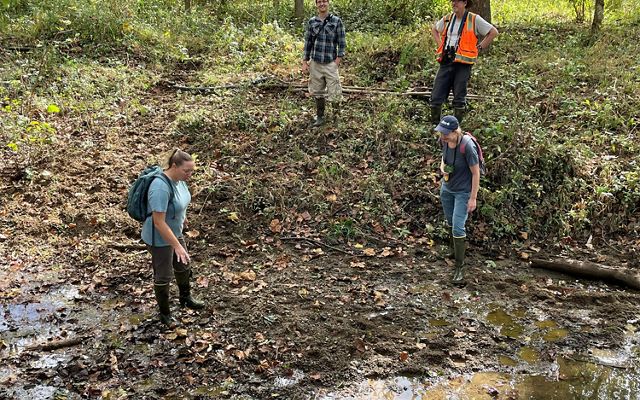 Four people stand in degraded stream bed in forest.
