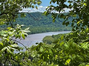 Leaves in the foreground partially block view of Ohio River in the distance.