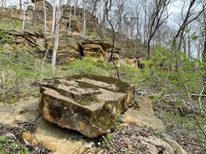 Rocks jut out of forested landscape in southern Ohio.