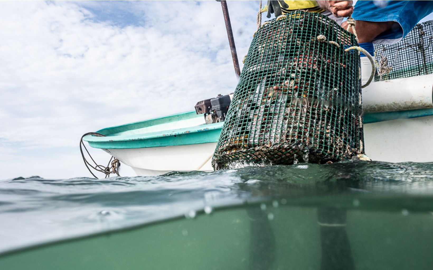 Scallop harvest  Poseidon transforms photos into datasets that help fishing communities make real-time decisions about how to keep their fisheries healthy. © David Hills