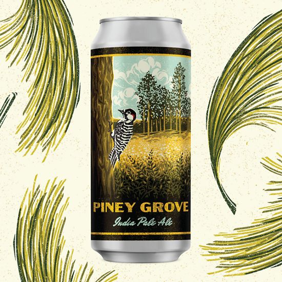 A beer car surrounded by line drawings of longleaf pine needles. The can label reads Piney Grove India Pale Ale and shows an illustration of a red-cockaded woodpecker perched on the side of a tree.