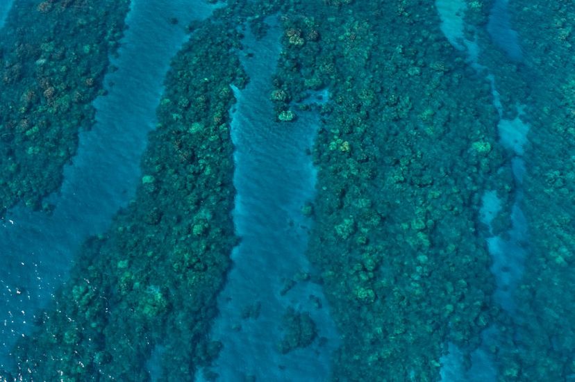 Aerial view of the fringing reef and sand channels at Olowalu, Maui.