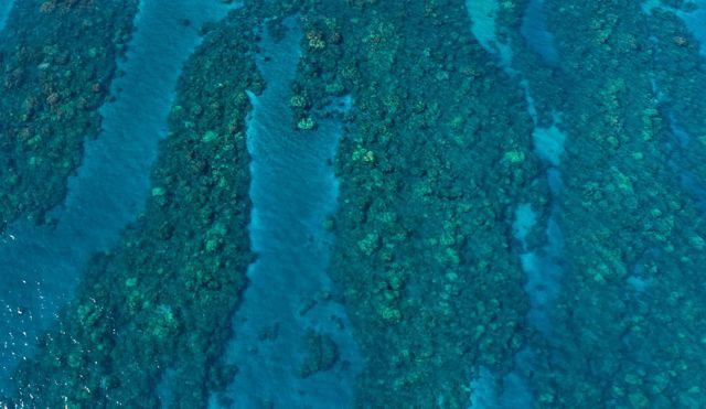 Aerial view of the fringing reef and sand channels at Olowalu, Maui.