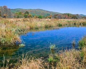 Grasslands surround a quiet pond.