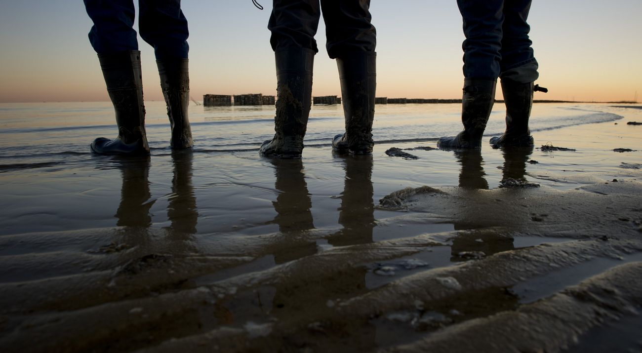 Three people dip their feet into water at the edge of an ocean.