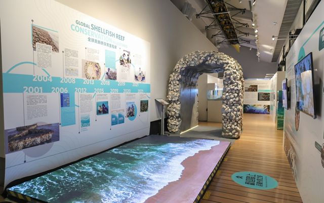The Oyster Odyssey Exhibition