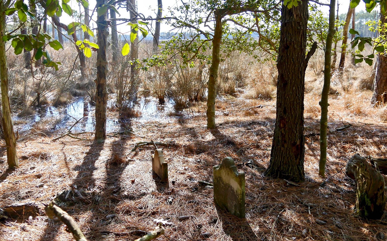 Though the Robson family cemetery may be lost to ravages of time and rising waters, knowledge of the place and those buried there will be preserved.