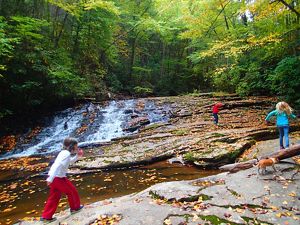 Children play in the water of Little Stony Creek.