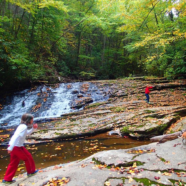 Children play in the water of Little Stony Creek.