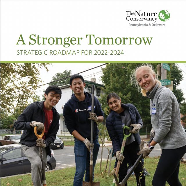 Cover of the PA/DE strategic roadmap. Below the title, A Stronger Tomorrow, four people holding shovels and pitchforks stand around a shallow hole during a tree planting event.