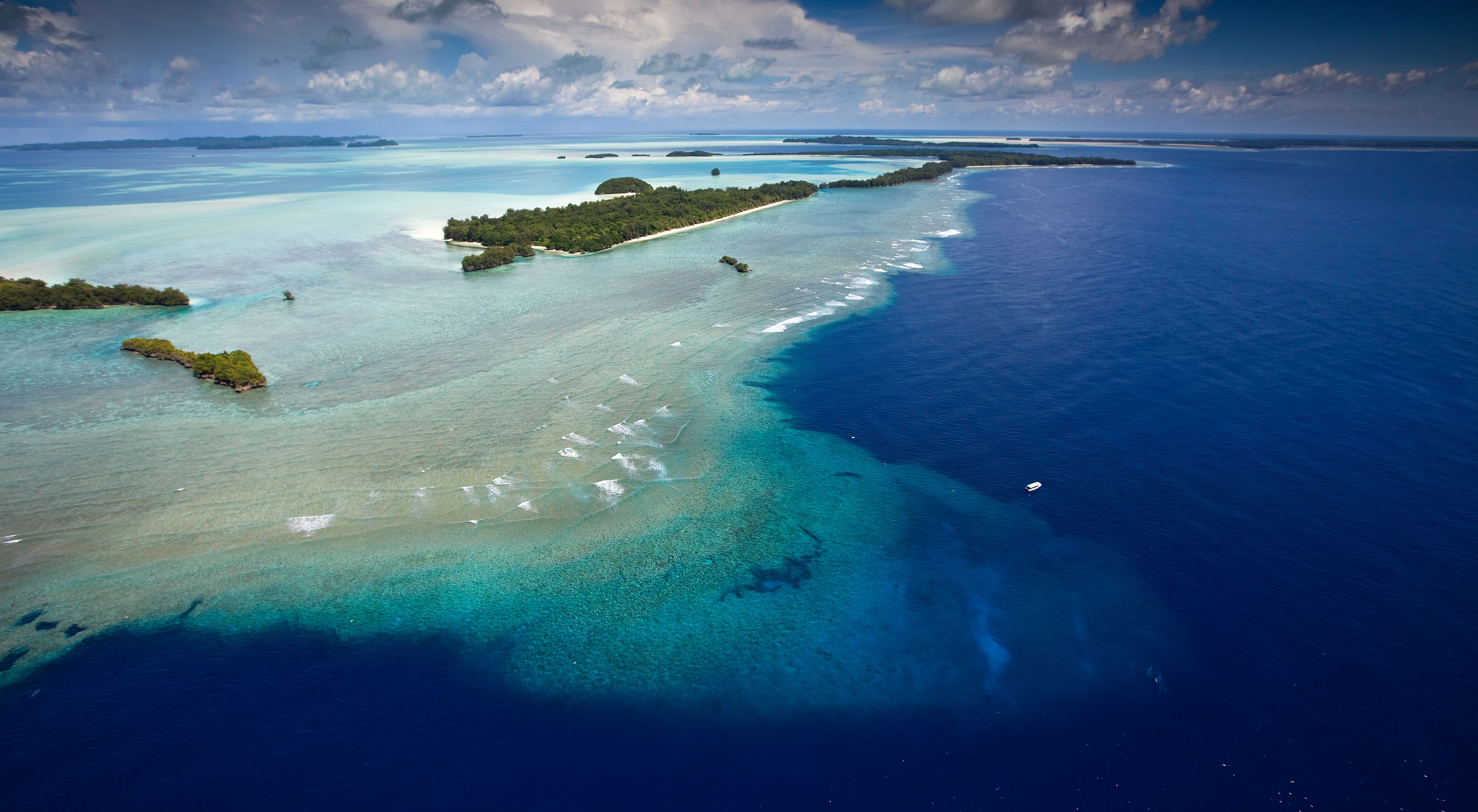 of the area known as the "blue corner" and Rock Islands coral seascape at the Republic of Palau.