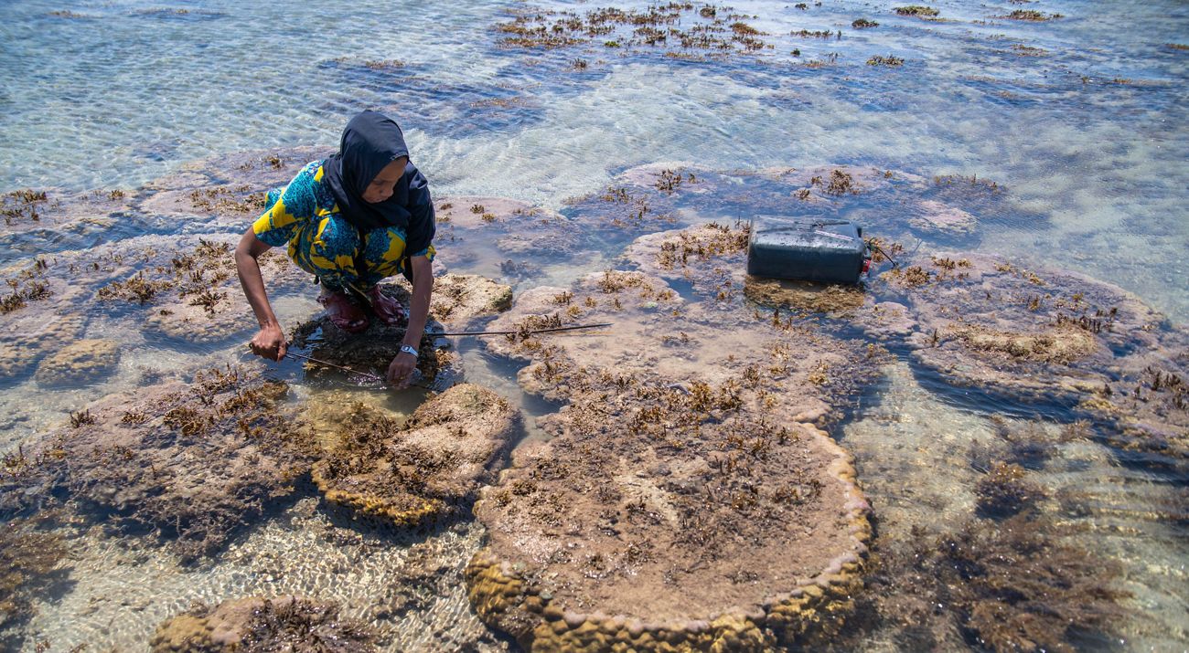 woman fishing in shallow water