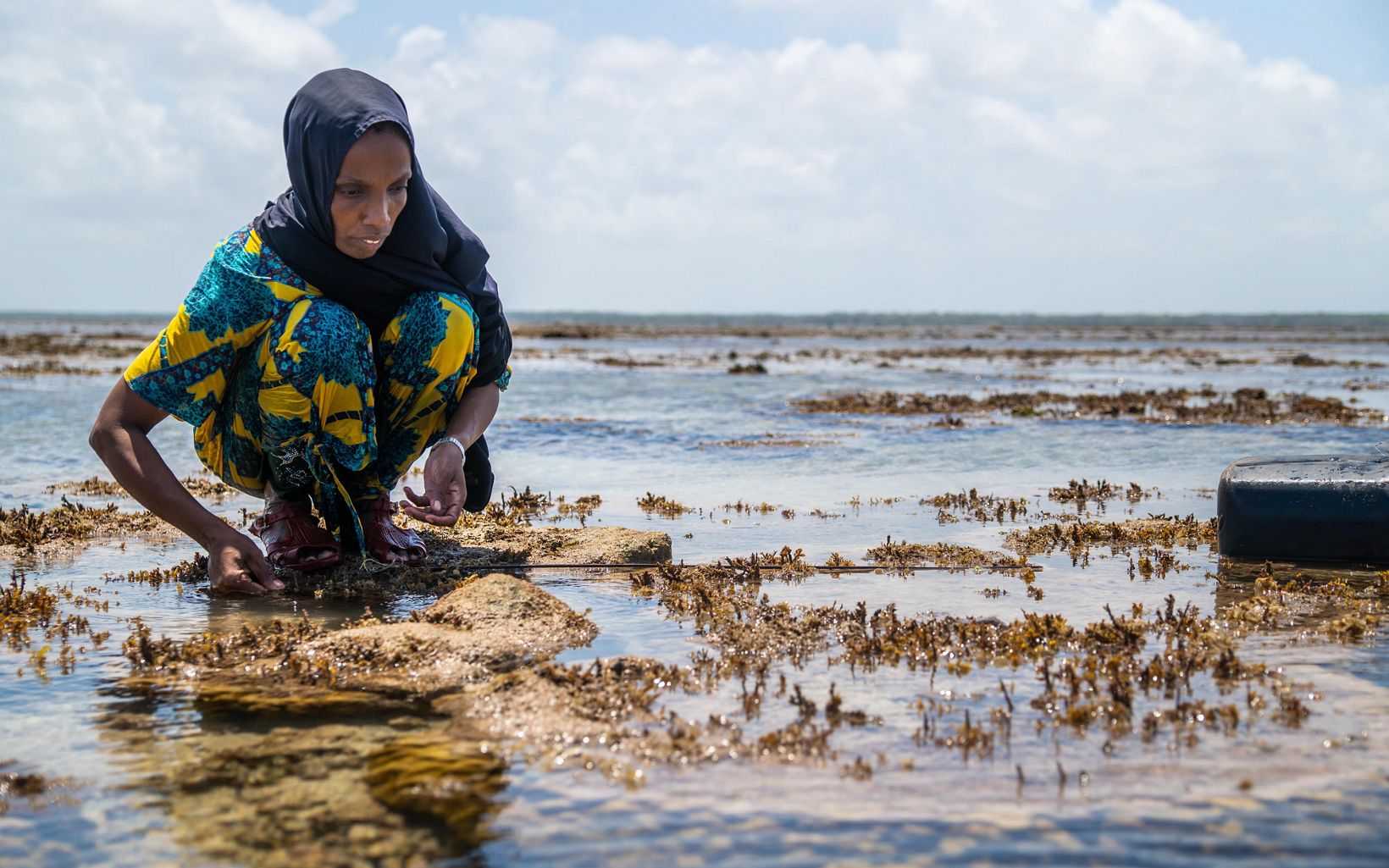 Amina Ahmed fishes for octopuses after the no-take zone is re-opened in Lamu, Kenya.