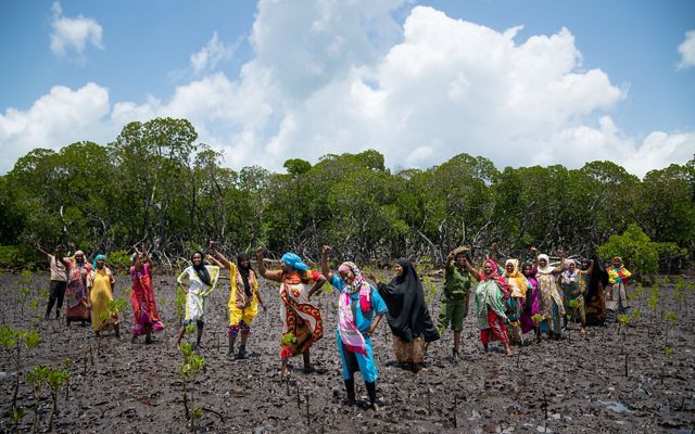 Un grupo de mujeres con el puño en alto y paradas en semicírculo en el barro en medio de plántulas de manglar recién plantadas.