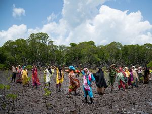 women smiling in mangrove area