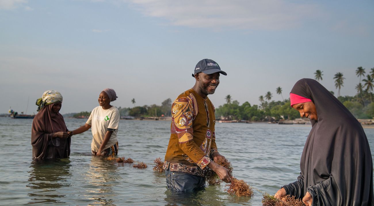 Four people stand waist deep in water, holding a rope covered in seaweed.