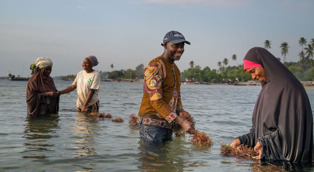 four people look at seaweed growing in water