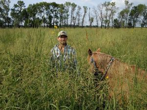A man and a horse stand in a field with grasses towering over their heads.