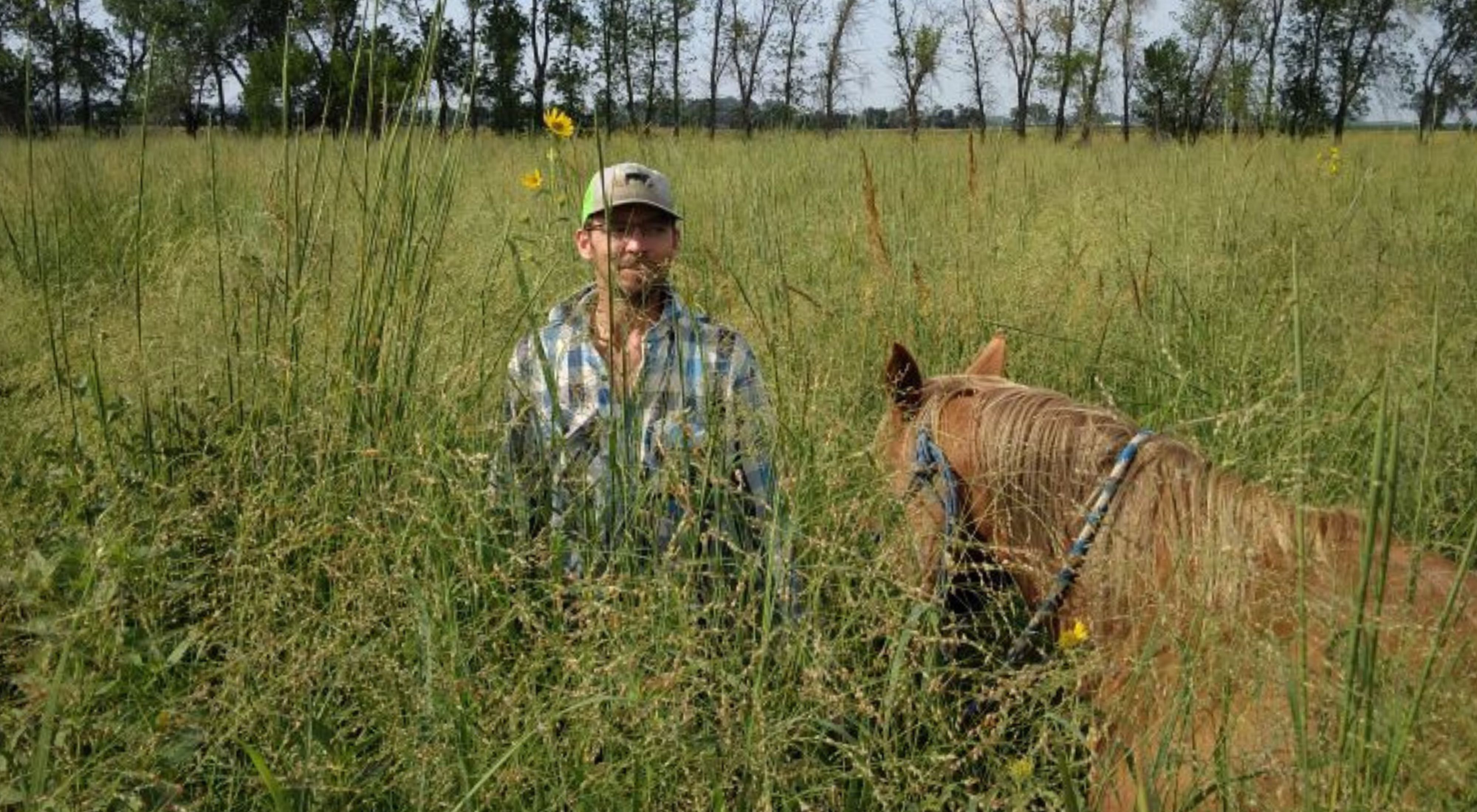A man and a horse stand in a field with grass towering over their heads.