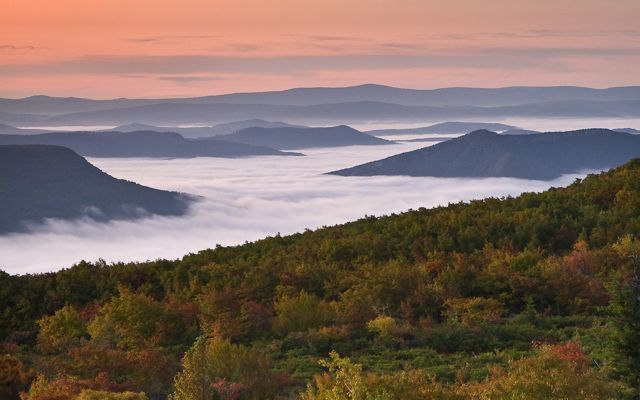 Mountain range of fall-colored forests with fog winding throughout.