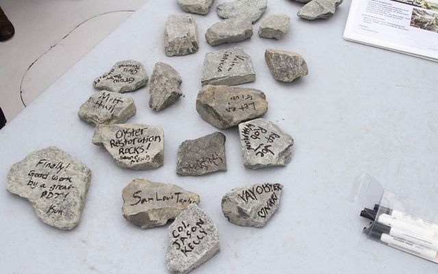 Small rocks are spread out on a table. The rocks have messages written on them include, "Oyster Restoration Rocks!".