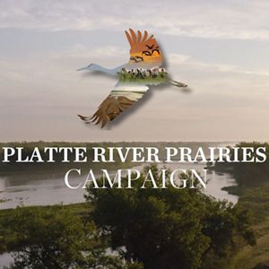 Platte River Prairies Campaign