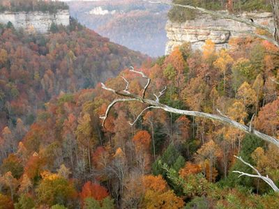 Steep limestone outcrops and trees in autumnal leaves define a mountain valley.