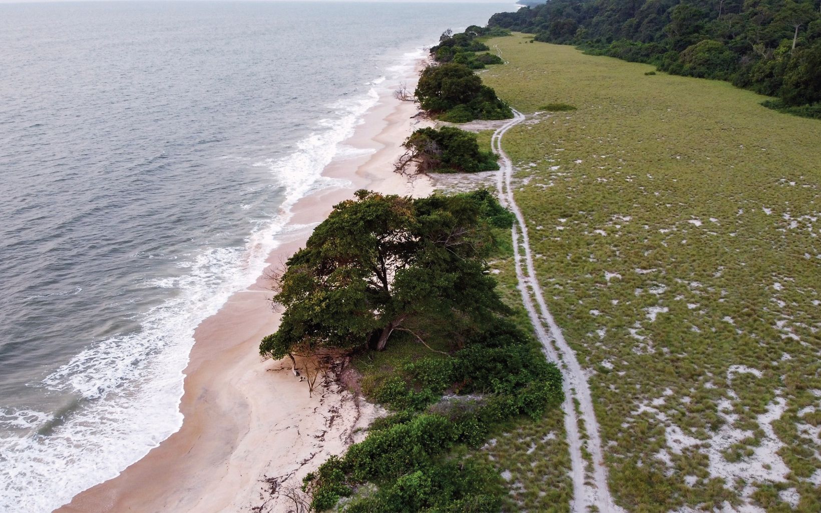 Pongara National Park, Gabon Aerial view of the coastline at Pongara National Park. More than 80 percent of Gabon is covered in rainforest, from its far interior to its Atlantic Ocean beaches. © Roshni Lodhia