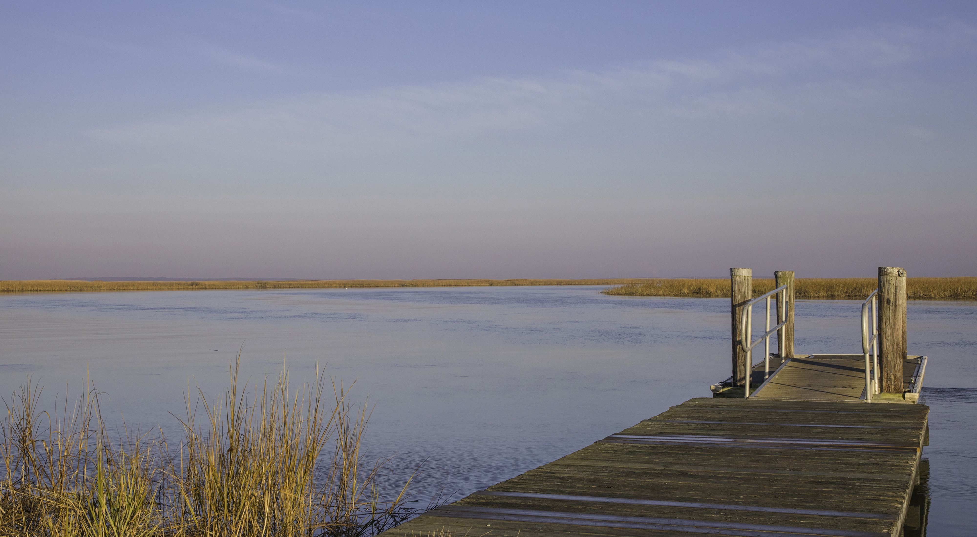A wooden dock overlooking the Delaware Bay. A blue cloudless sky stretches to meet the bay at the horizon.