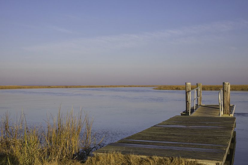 A short wooden dock extends from a marsh into a wide smooth river channel. The river curves away into the distance through tall marsh grass.